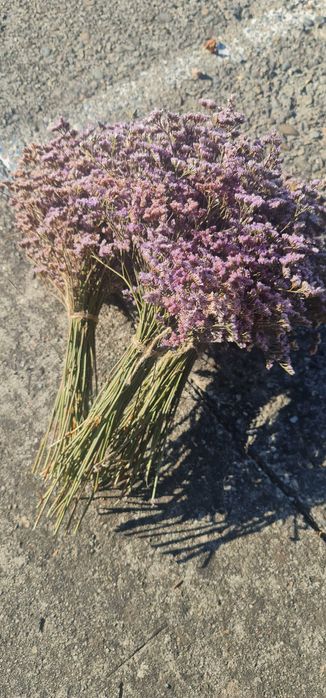 Flori de sare uscate