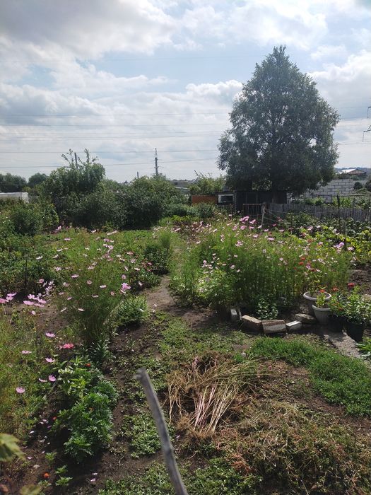 Дача, СО Текстильщик+1