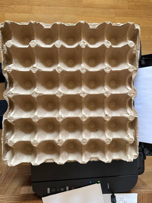 Упаковка для яиц, флейка