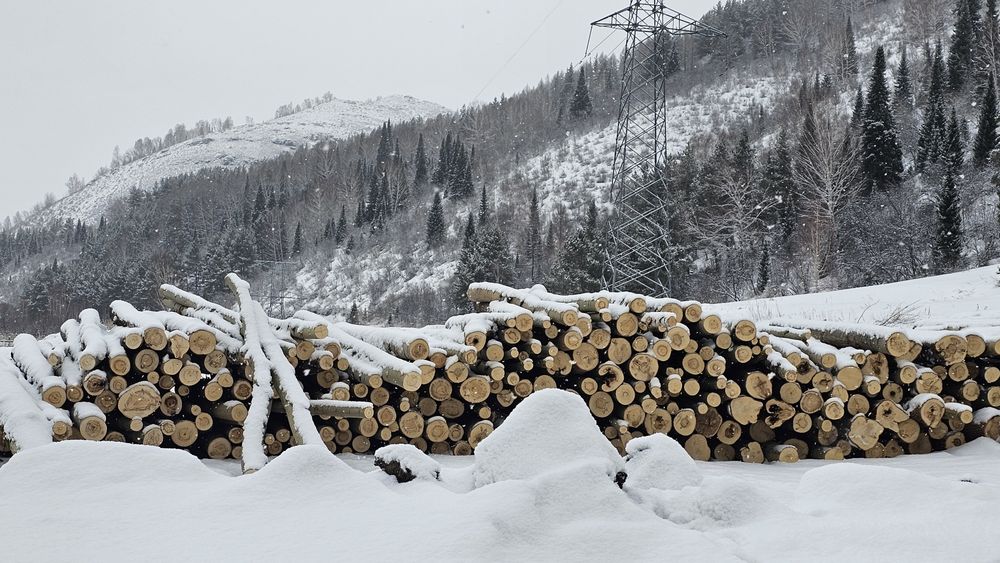 Горбыль, дрова долготье.