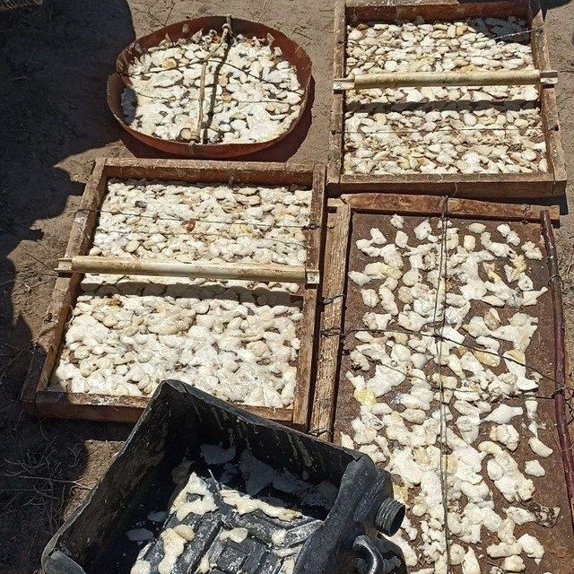 Каврак уруги сотилади