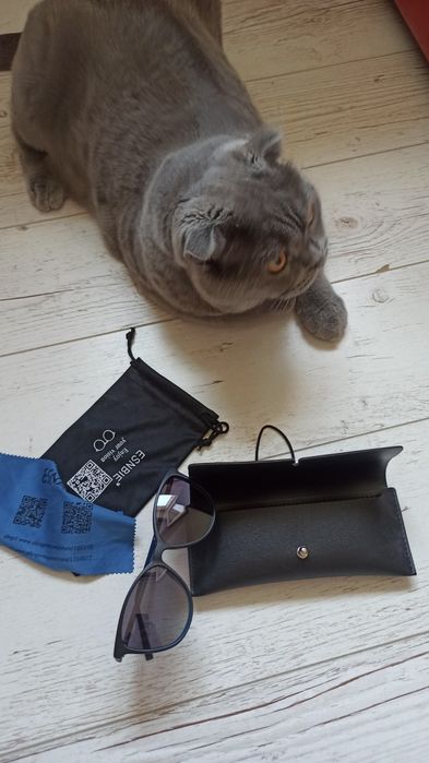 Ochelari femei Cat Eye clip on