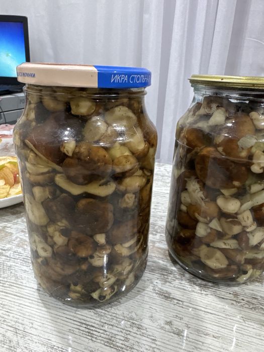 Продам грибы, валуи