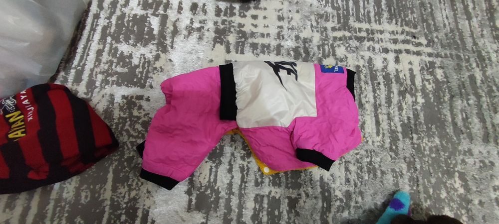 Разная одежда для животных