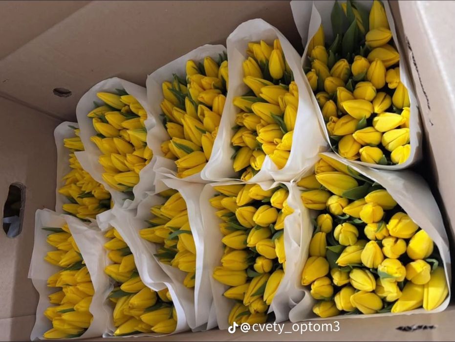 Принимаем заказы свежие тюльпаны