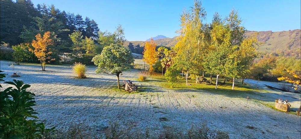 Refugiu în natură – cabană de închiriat pe termen lung, lângă Brașov