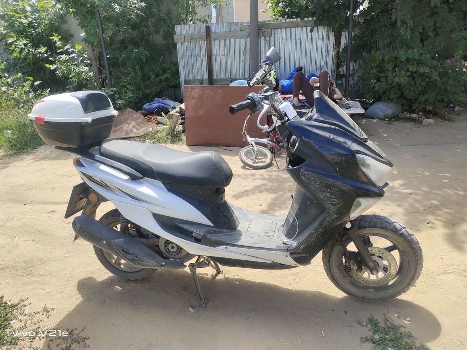 Макси 2024 годин