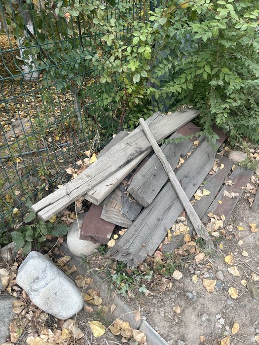 дрова бесплатно.
