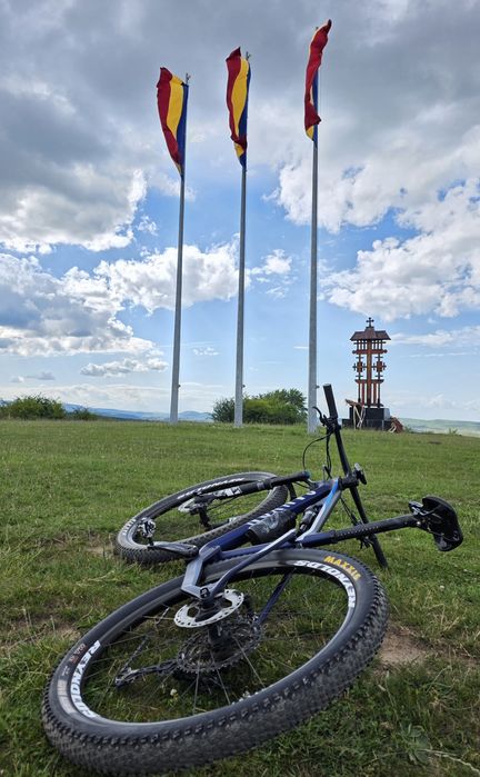 mtb canyon cf 7 lux  alpecin team s carbon