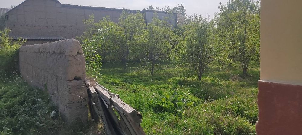 Чек сотилади. Кувада