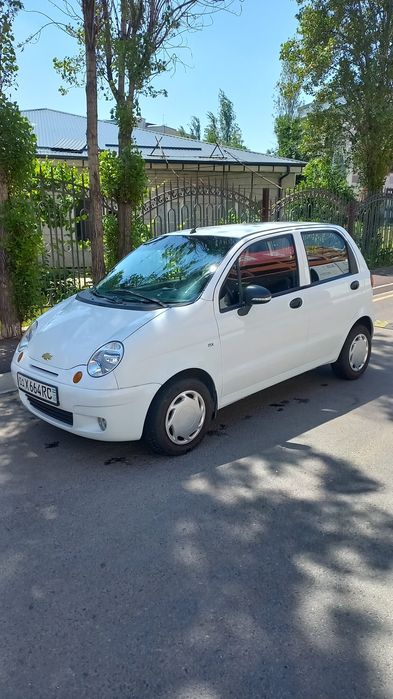 Matiz arendaga rangi oq