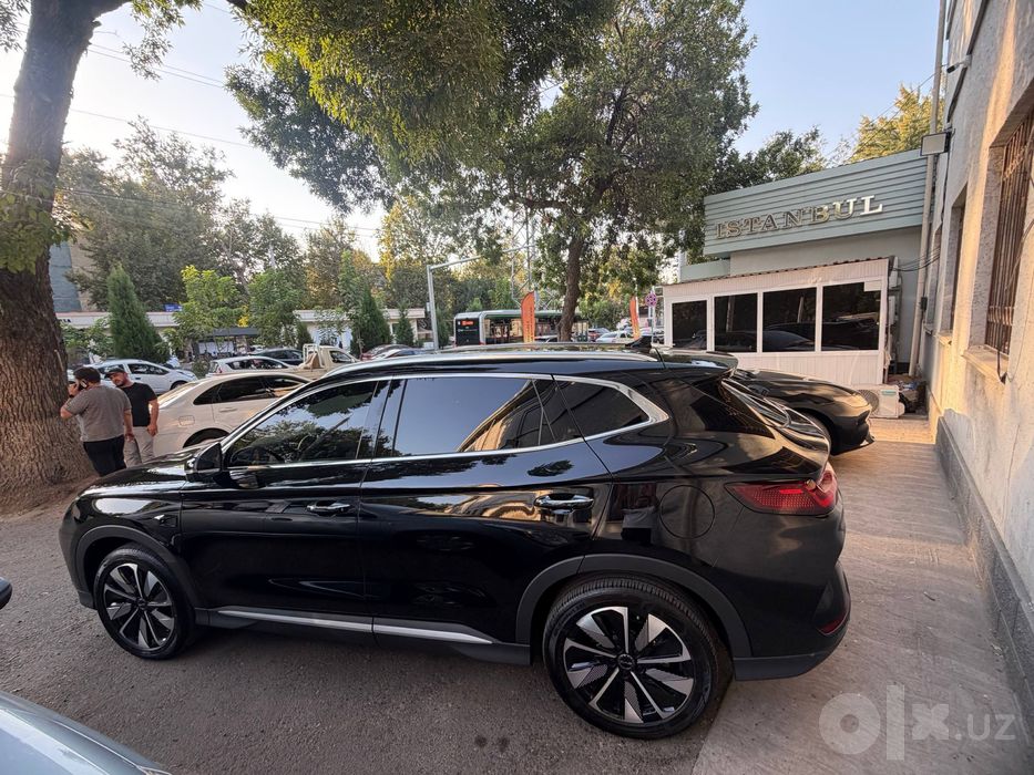 BYD Chimpion Smart