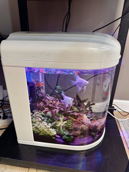 Аквариум комплект