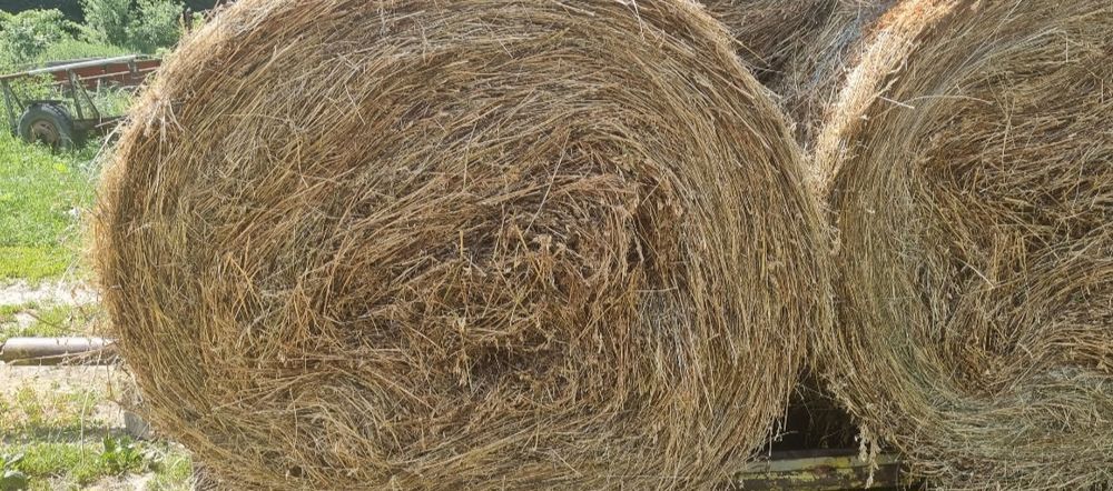 Vând baloti fân/lucernă