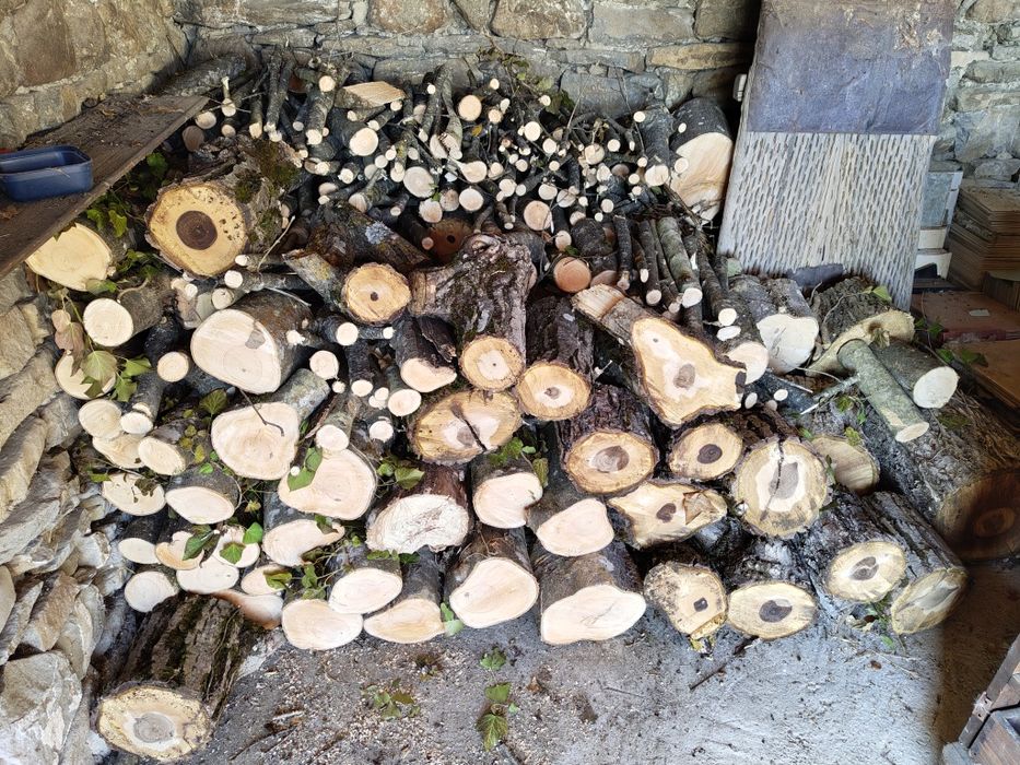 Поваляне, рязане и цепене на дърва