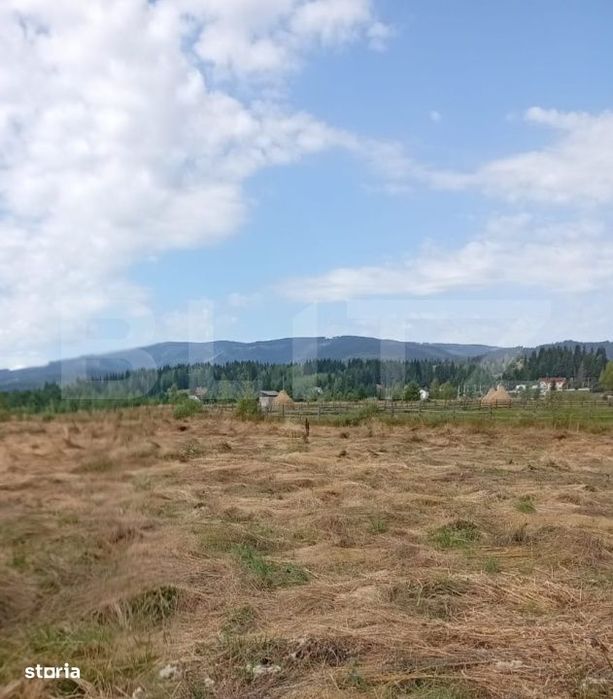 Vanzare teren intravilan, 3850 mp, Panaci