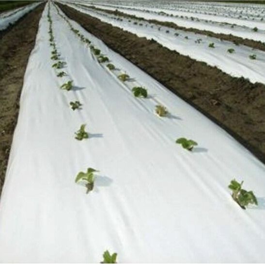 Агрил против слана 23гр.М2