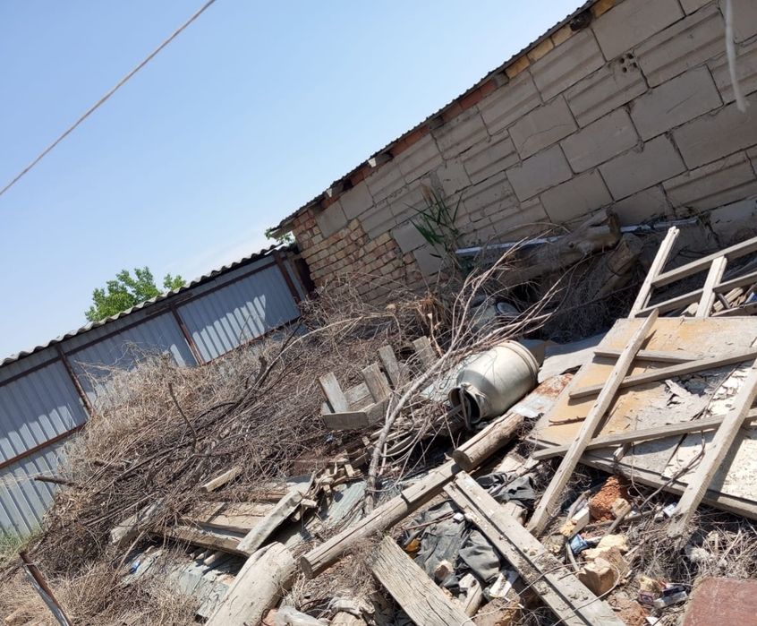 ескі ағаштар тегің