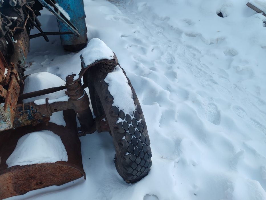 МТЗ 80 продам или обмен на жеребят