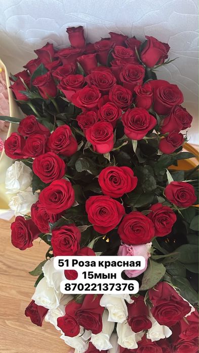 Свежие розы, цветы