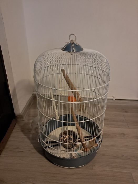 Vind colivie pasari