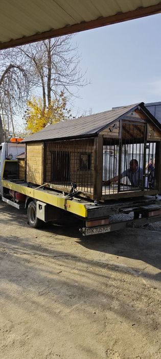 Эксклюзивные модели. Будки и Вольеры для Собак и Кошек в Ташкенте.