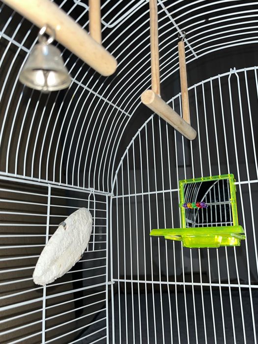 Colivie/Cusca pasari