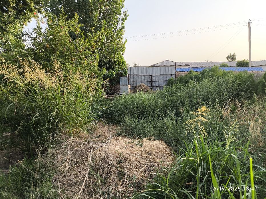 20 sotix yer bandixon , birdamlik mahallasida