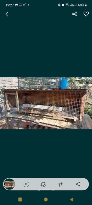 Клетки срочно разные размеры