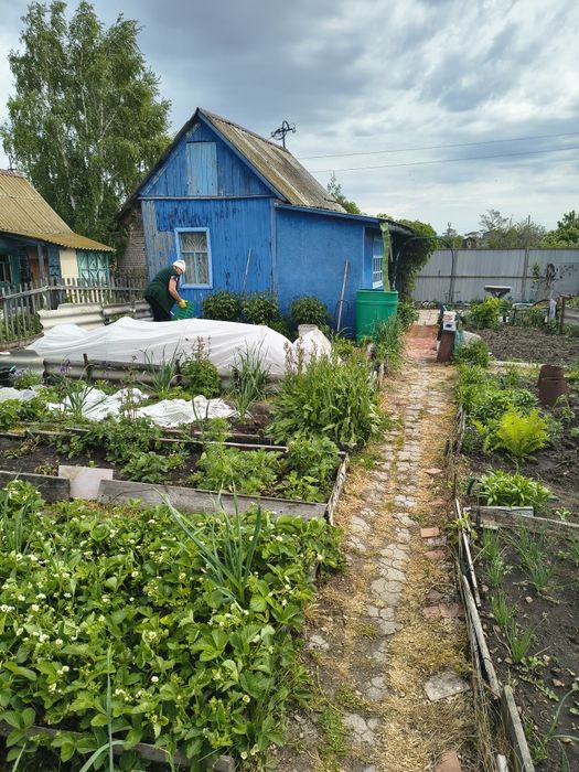 Продам дачу общество огонек .