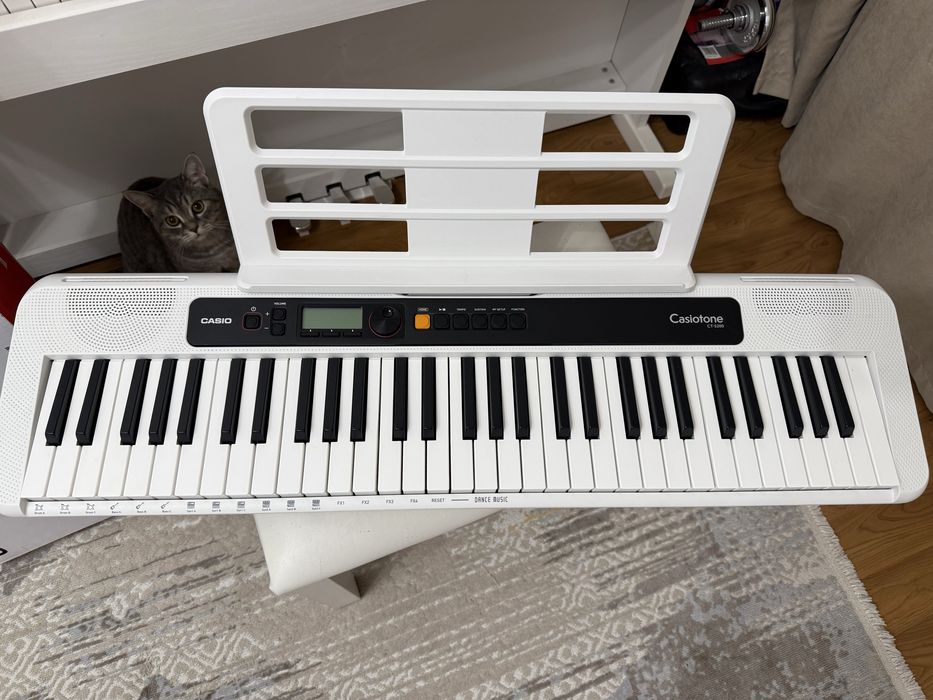 Синтезатор CASIO