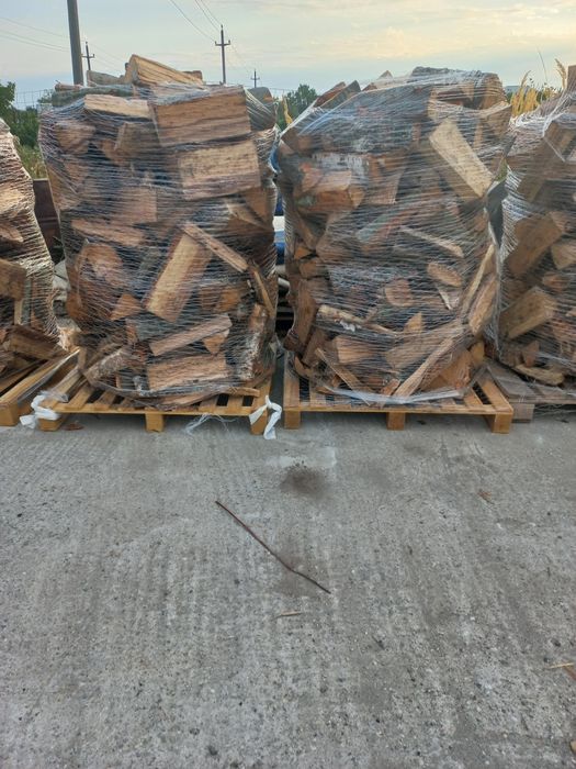 Lemne de foc fag uscat ofertă