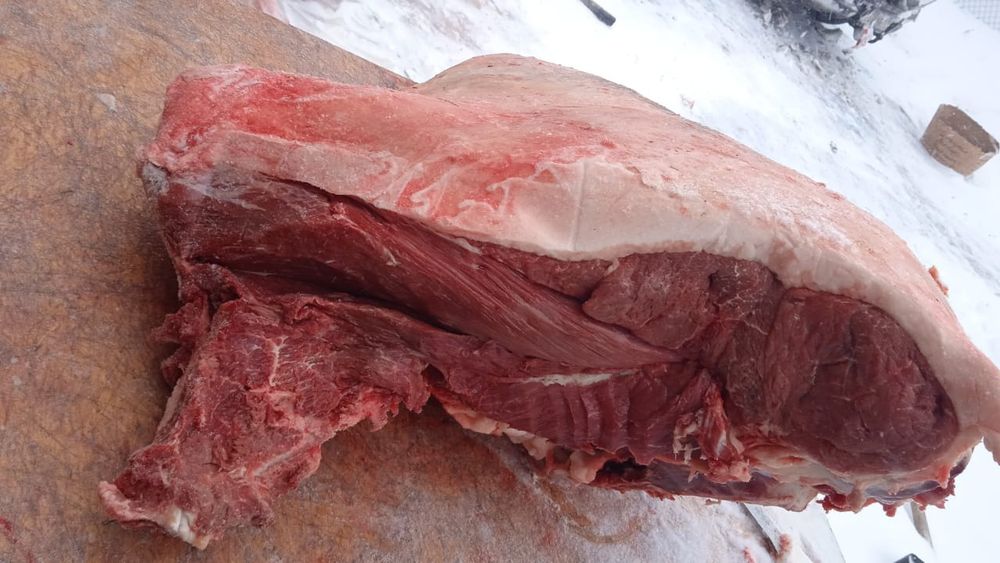 Мясо Кониный доставка бесплатно