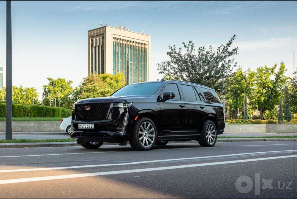 VIP трансфер, встреча с аэропорта, картеж, делегации
