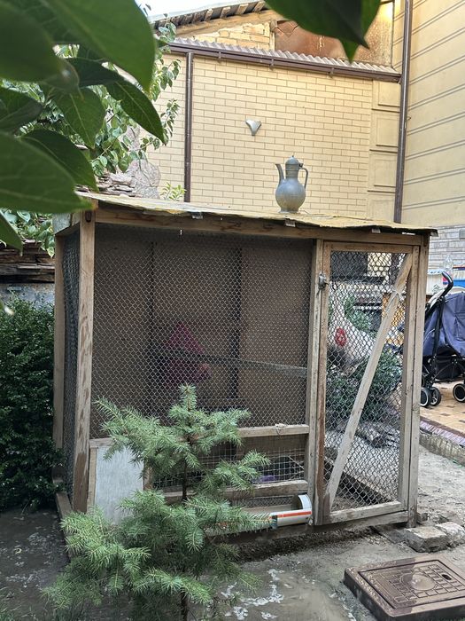 Клетка для куры