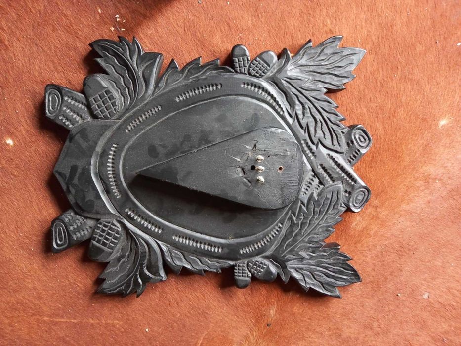 trofeu,trofee,craniu,coarne de tap urias cu panoplie