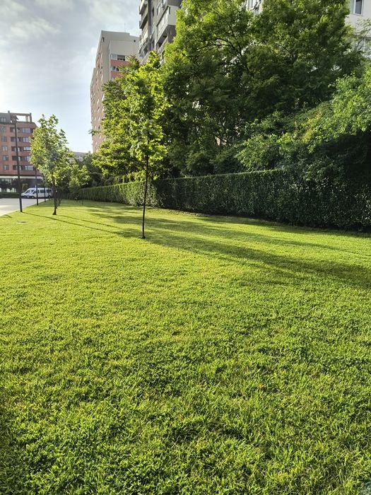 Озеленяване и поддръжка.