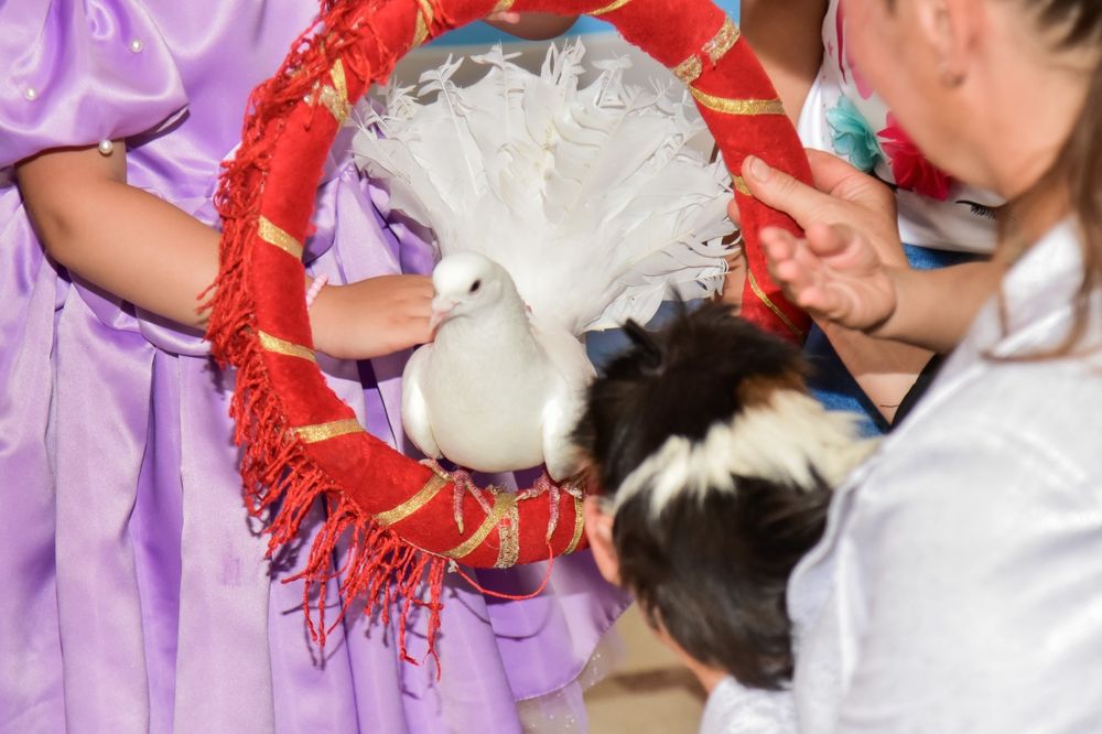 Аниматоры на дом