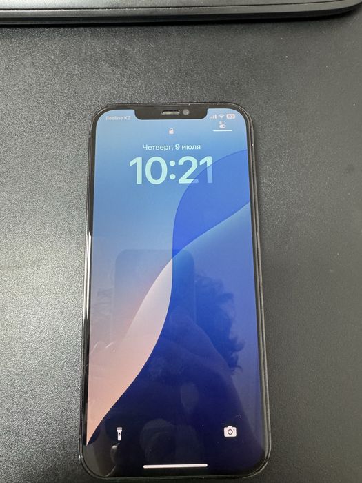 iPhone 12 Pro Max 256 ГБ
