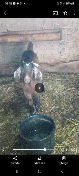 Vand tap si iezi