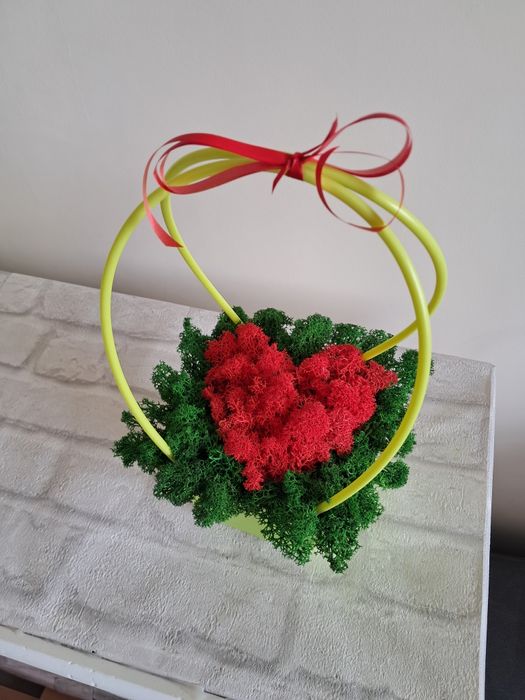 Кошнички със скандинавски мъх