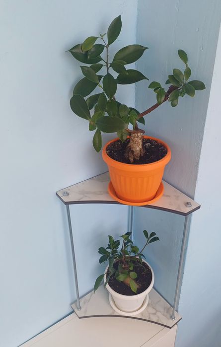 Цветарник - етажерка