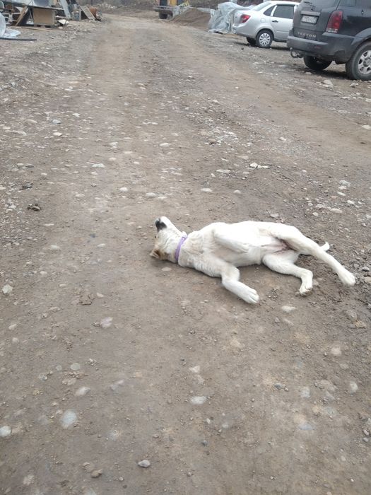 Срочно, срочно, срочно!!!