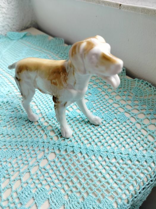 Lot 7 căței 50 lei