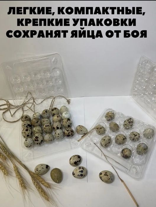 Продам контейнеры для перепелиных яиц