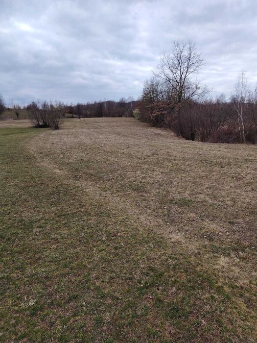 Vanzare Teren  Extravilan Sinca Noua