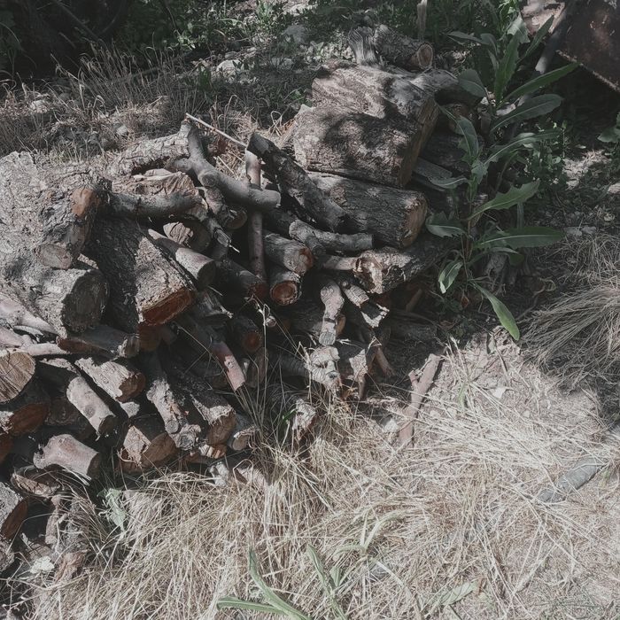 Срочно продам дрова
