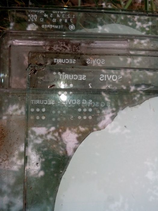 Извити стъкла за хладилни витрини