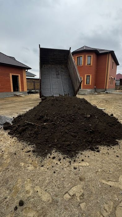 Навоз бар  шириген кон!