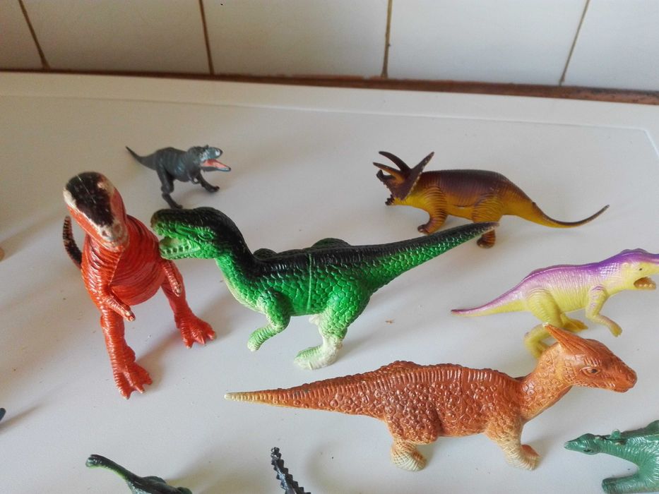 Две стари картини графика , пластмасови животни и ламаринен луноход .